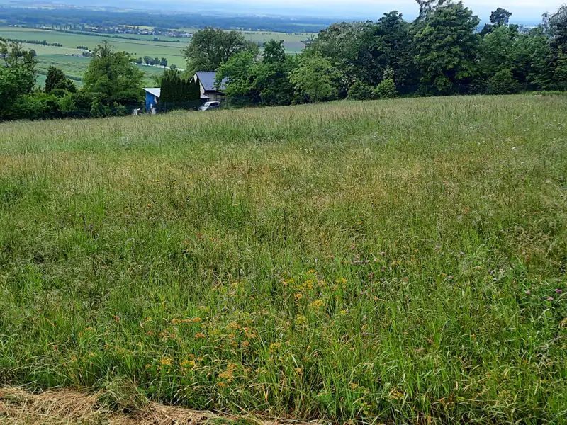 Prodej pole 1419 m², Olomouc – náhled fotky 2