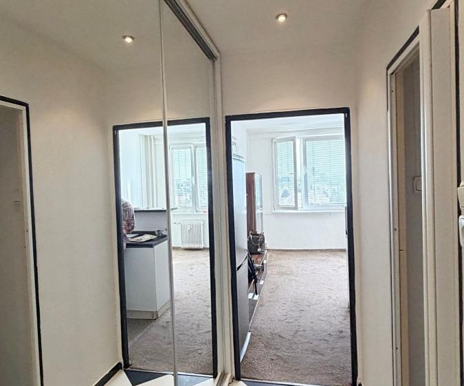Wohnung 1+kk zur Miete, 24 m² (8 von 16)