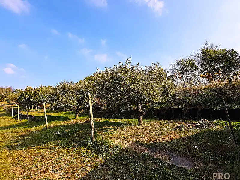 Prodej vinného sklepa 107 m², Mutěnice – náhled fotky 2