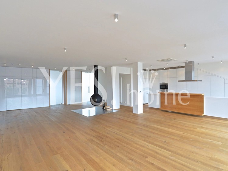 Wohnung 4+kk zur Miete, 229 m² (6 von 30)