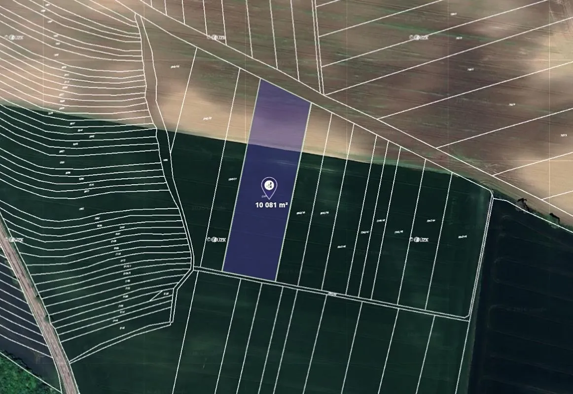 Prodej podílu 1/6 pole 1680 m²