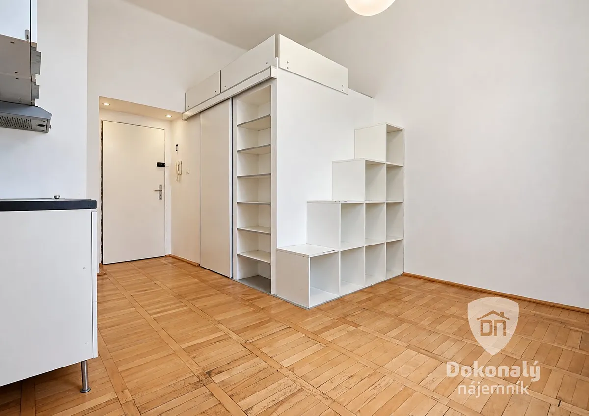 Pronájem bytu 1+kk 20 m²