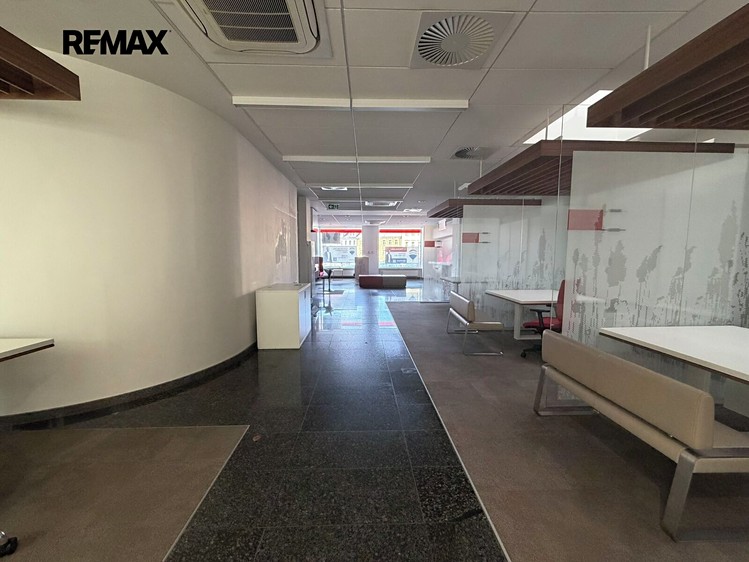 Pronájem komerčního prostoru, 198 m² (6 z 13)
