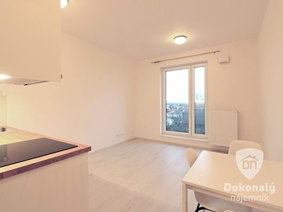 Wohnung 1+kk zur Miete, 25 m² (2 von 18)