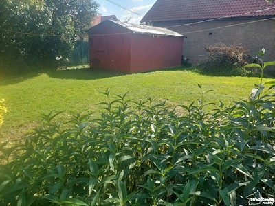 Haus zum Kauf, 60 m² (3 von 17)