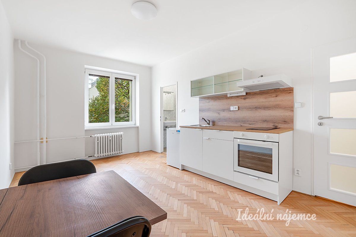 Pronájem bytu 1+kk 20 m²