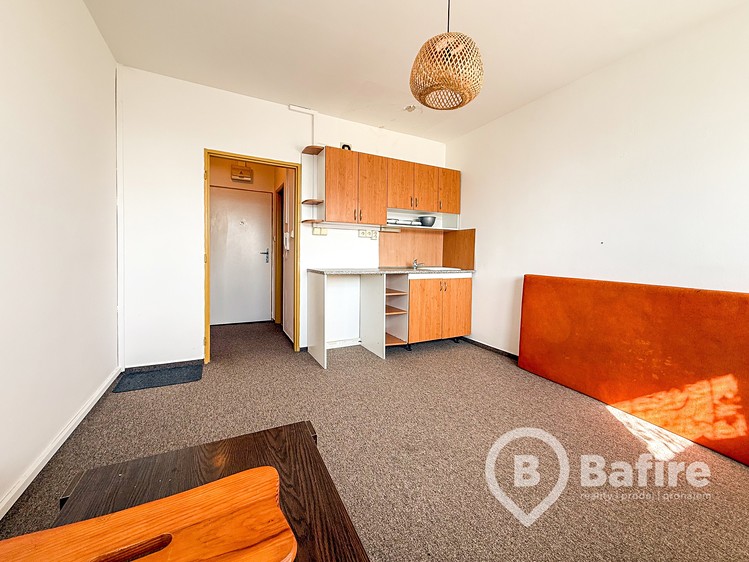 Квартира 1+kk в оренду, 20 м² (3 з 8)
