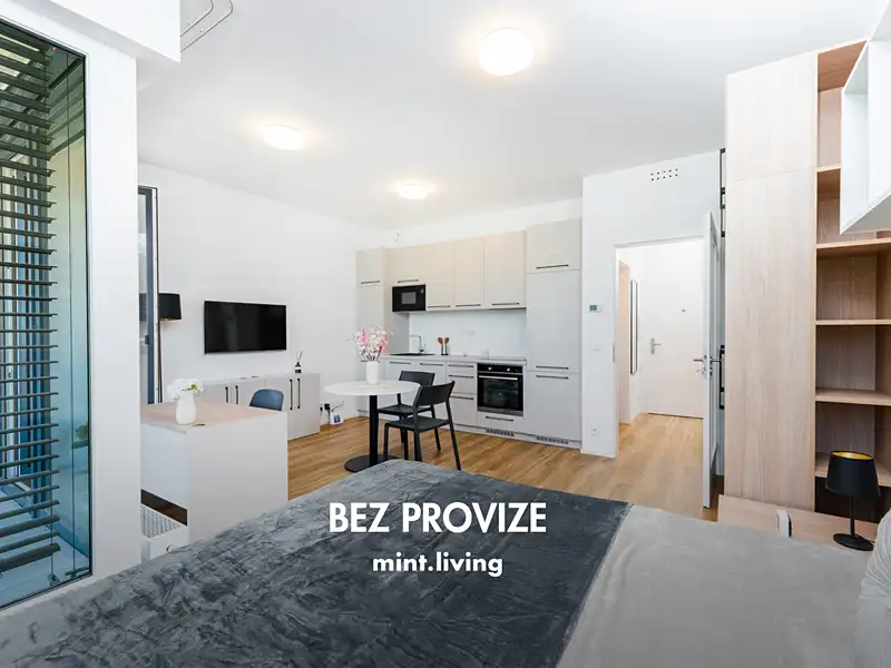 Pronájem bytu 1+kk 38 m², Praha – náhled fotky 1