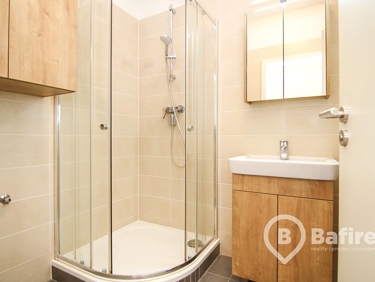 Квартира 1+kk в оренду, 33 м² (11 з 13)