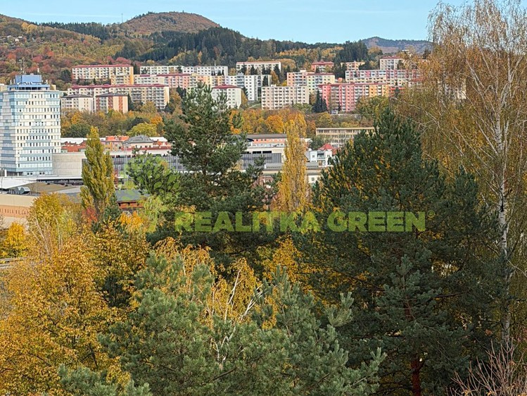 Prodej bytu 3+1, 62 m² (15 z 19)