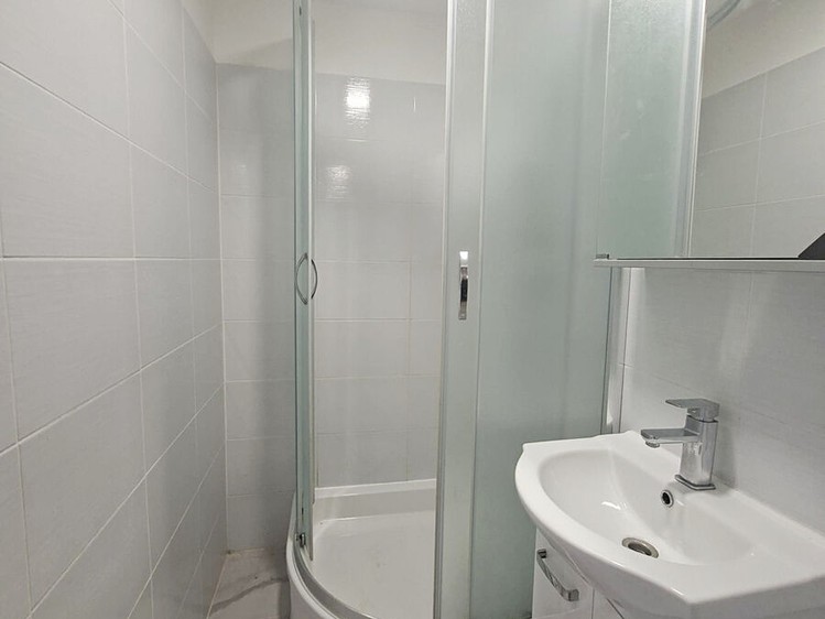 Pronájem bytu 1+1, 40 m² (4 z 13)