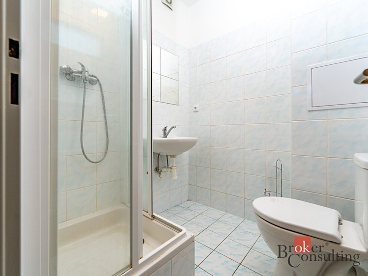Wohnung 1+kk zur Miete, 18 m² (5 von 8)