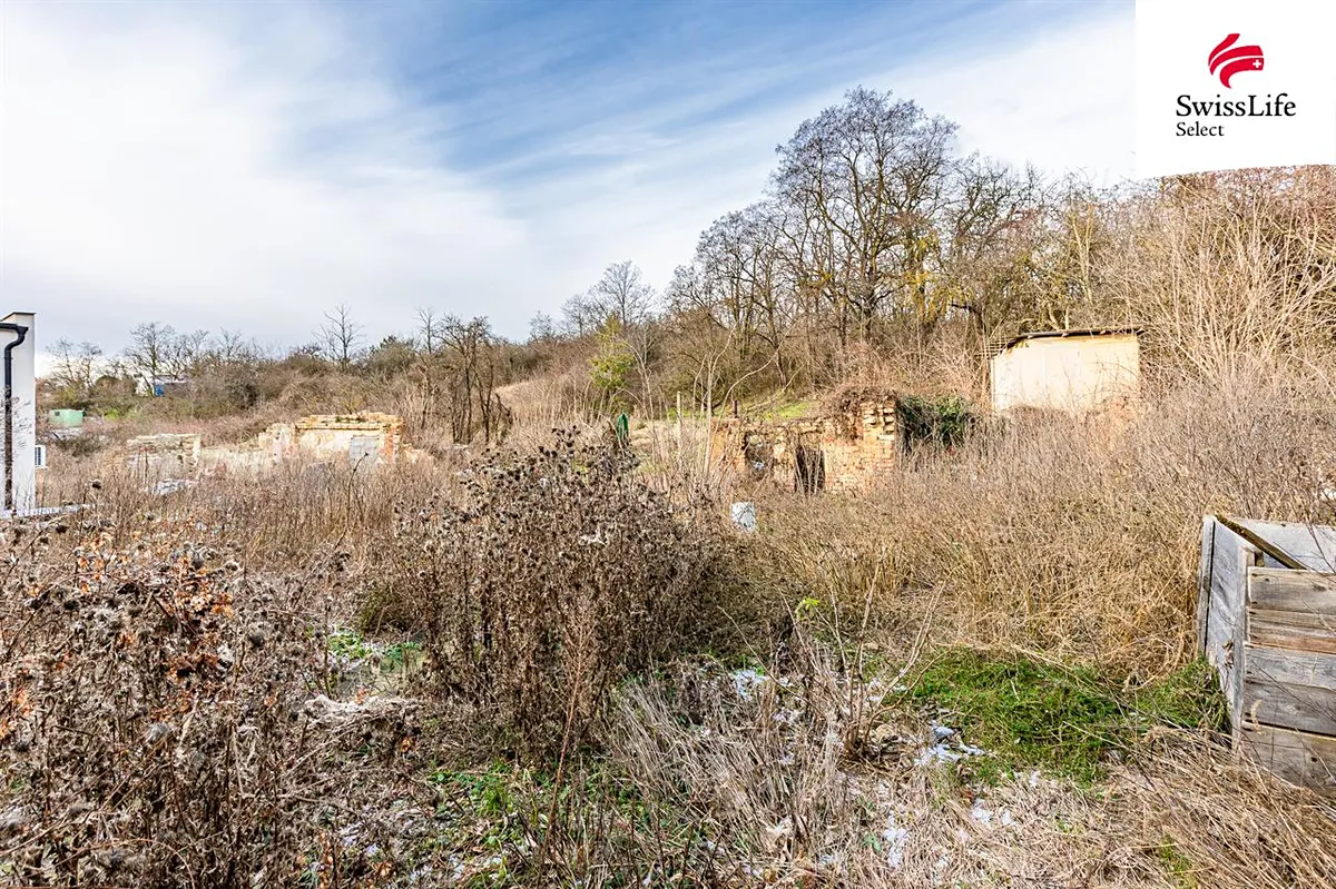Fotka 19 z 30