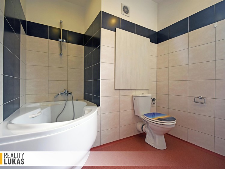 Квартира 1+1 в оренду, 47 м² (6 з 8)