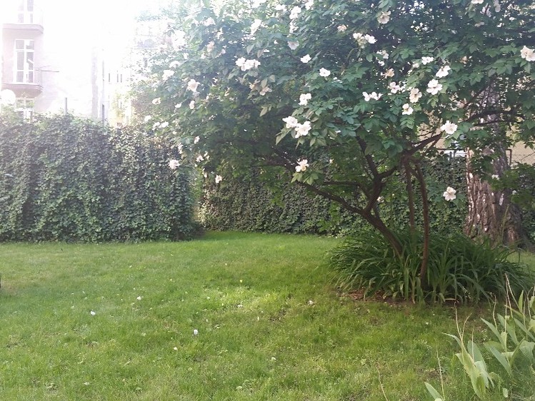 Wohnung 1+1 zum Kauf, 43 m² (4 von 20)
