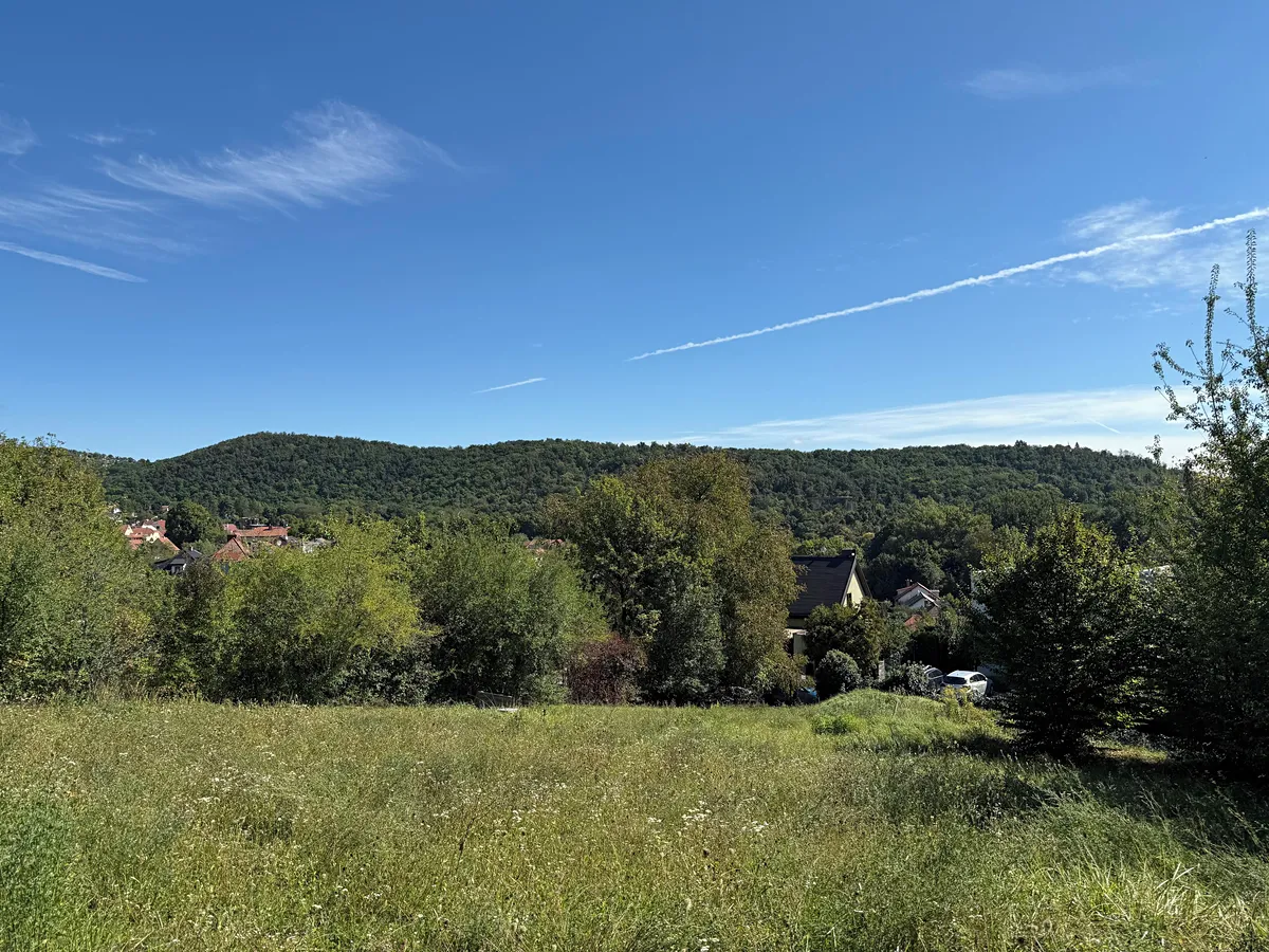 Pronájem zahrady 1194 m²