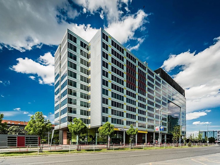 Комерційне приміщення в оренду, 733 м² (5 з 6)