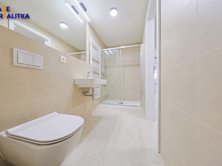 Квартира 1+kk в оренду, 43 м² (11 з 13)