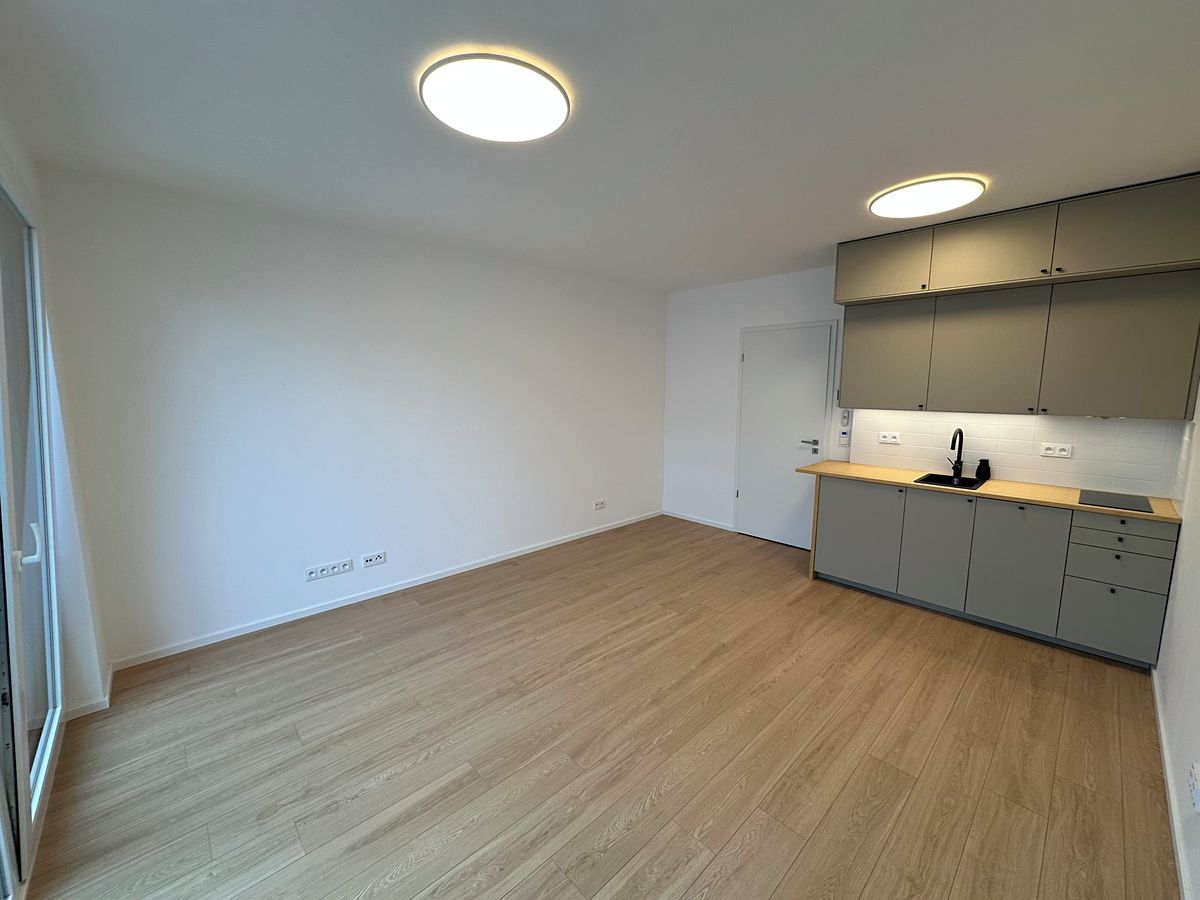 Pronájem bytu 1+kk 30 m² – fotografie 5