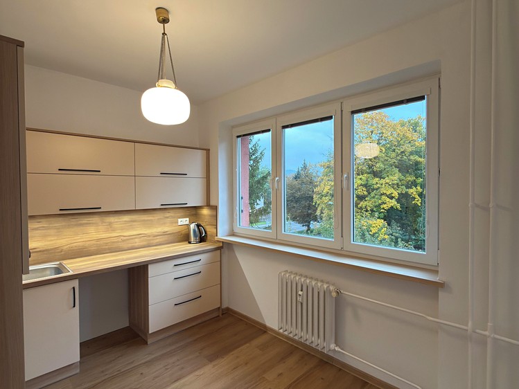 Pronájem bytu 2+1, 58 m² (1 z 12)