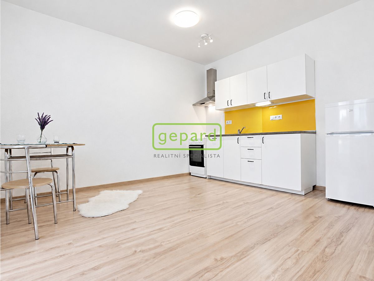 Pronájem bytu 1+kk 33 m² – fotografie 3