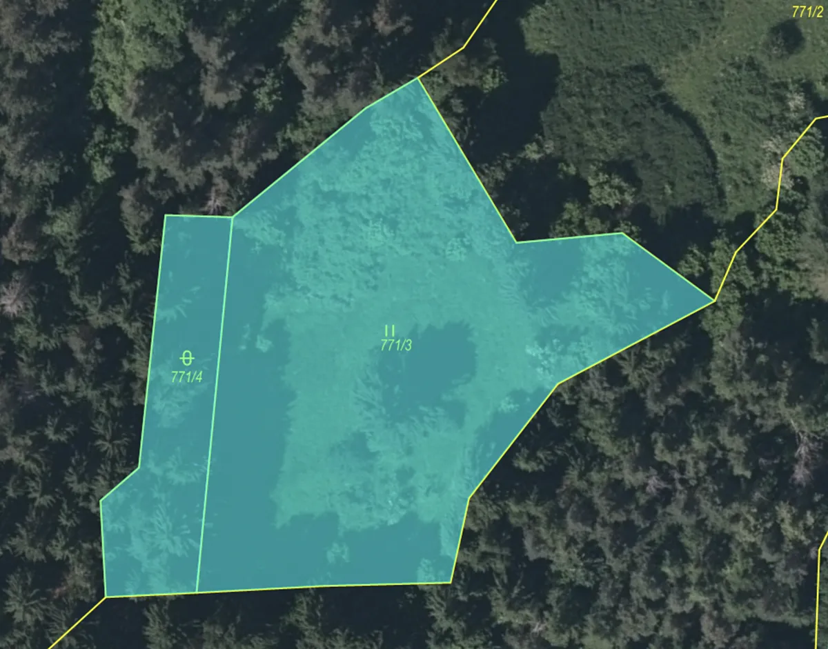 Prodej louky 3733 m²