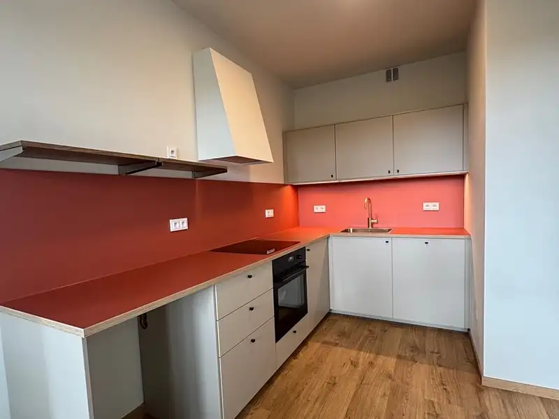 Pronájem bytu 2+kk 54 m², Praha – náhled fotky 3