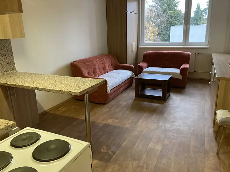 Prodej bytu 1+kk 28 m², Otrokovice – náhled fotky 3