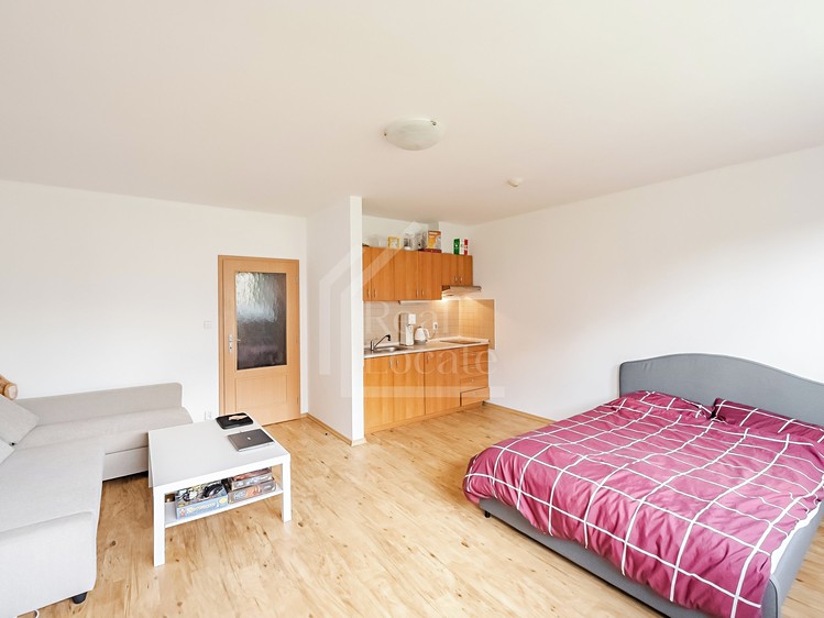 Pronájem bytu 1+kk, 37 m² (1 z 10)