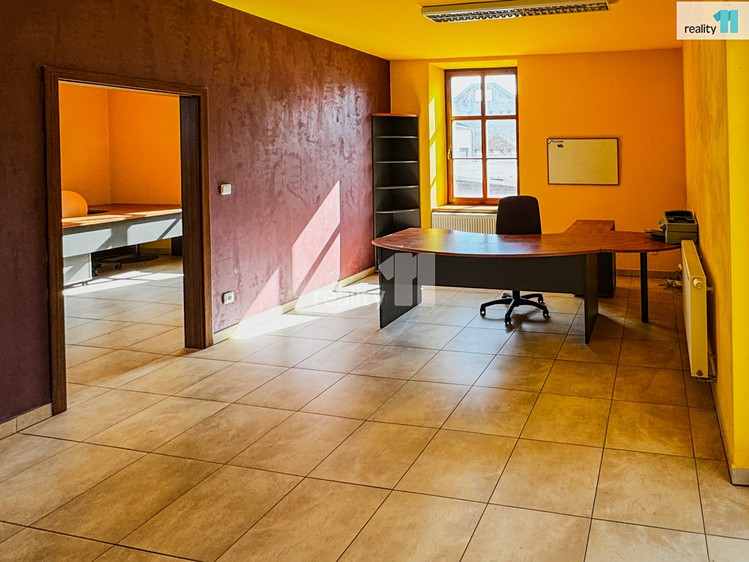 Комерційне приміщення на продаж, 541 м² (42 з 67)