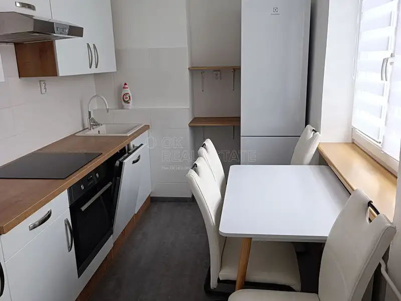 Pronájem bytu 2+1 48 m², Tachov – náhled fotky 3