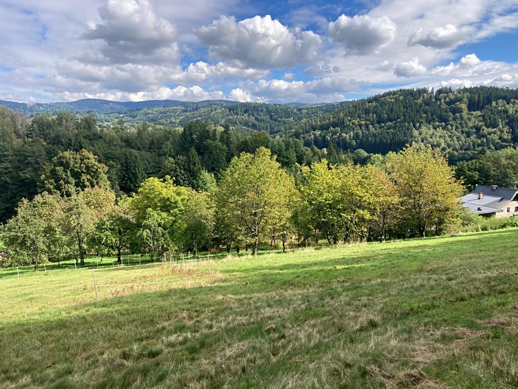 Grundstück zum Kauf, 1.132 m² (5 von 8)
