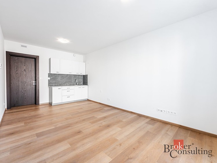 Квартира 1+kk в оренду, 31 м² (2 з 11)