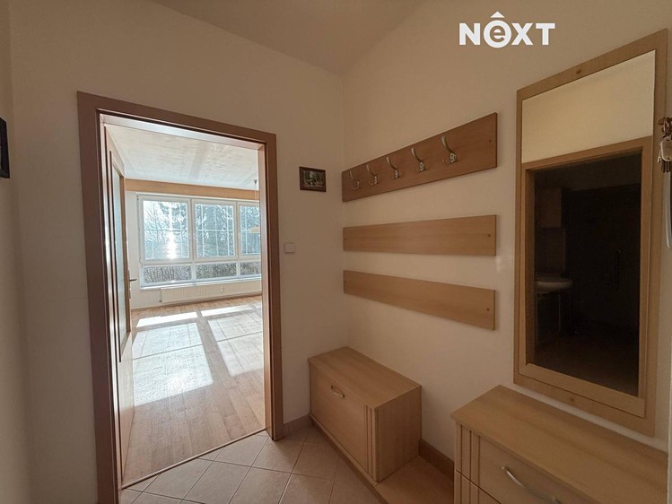 Pronájem bytu 2+kk, 44 m² (12 z 14)