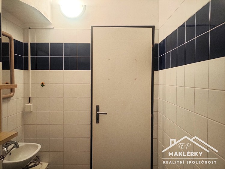 Prodej komerčního prostoru, 100 m² (6 z 7)