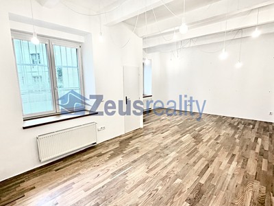 Gewerbefläche zur Miete, 48 m² (2 von 12)