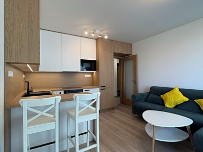 The 2+kk flat for rent, 43 m² (2 of 19)