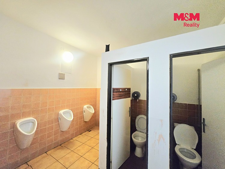 Комерційне приміщення в оренду, 230 м² (8 з 16)