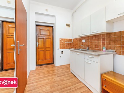 Wohnung 1+1 zum Kauf, 25 m² (3 von 7)