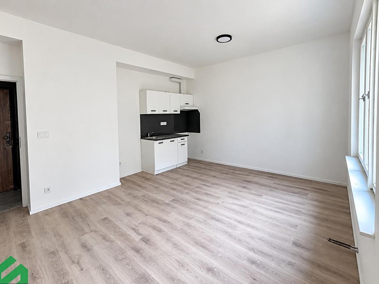 Квартира 1+kk в оренду, 30 м² (2 з 8)