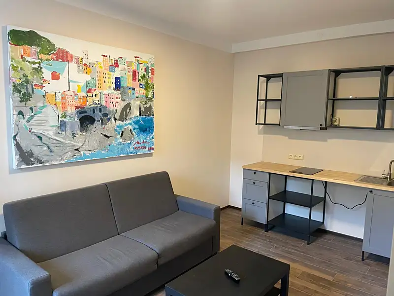 Pronájem bytu 1+kk 22 m², Litoměřice – náhled fotky 3