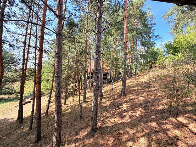 Prodej domu, 124 m² (57 z 100)