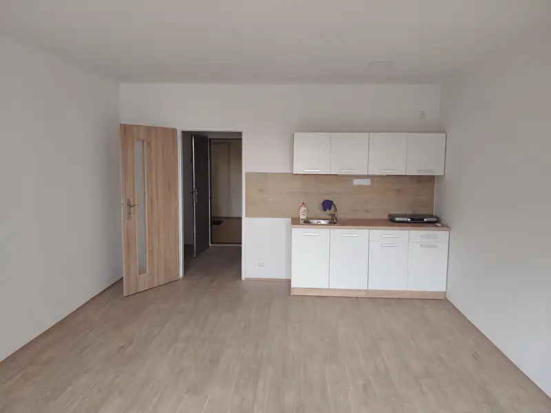 Pronájem bytu 1+kk 32 m², Ostrava – náhled fotky 2