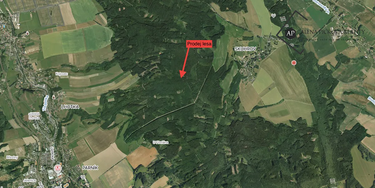 Prodej lesa 9301 m²
