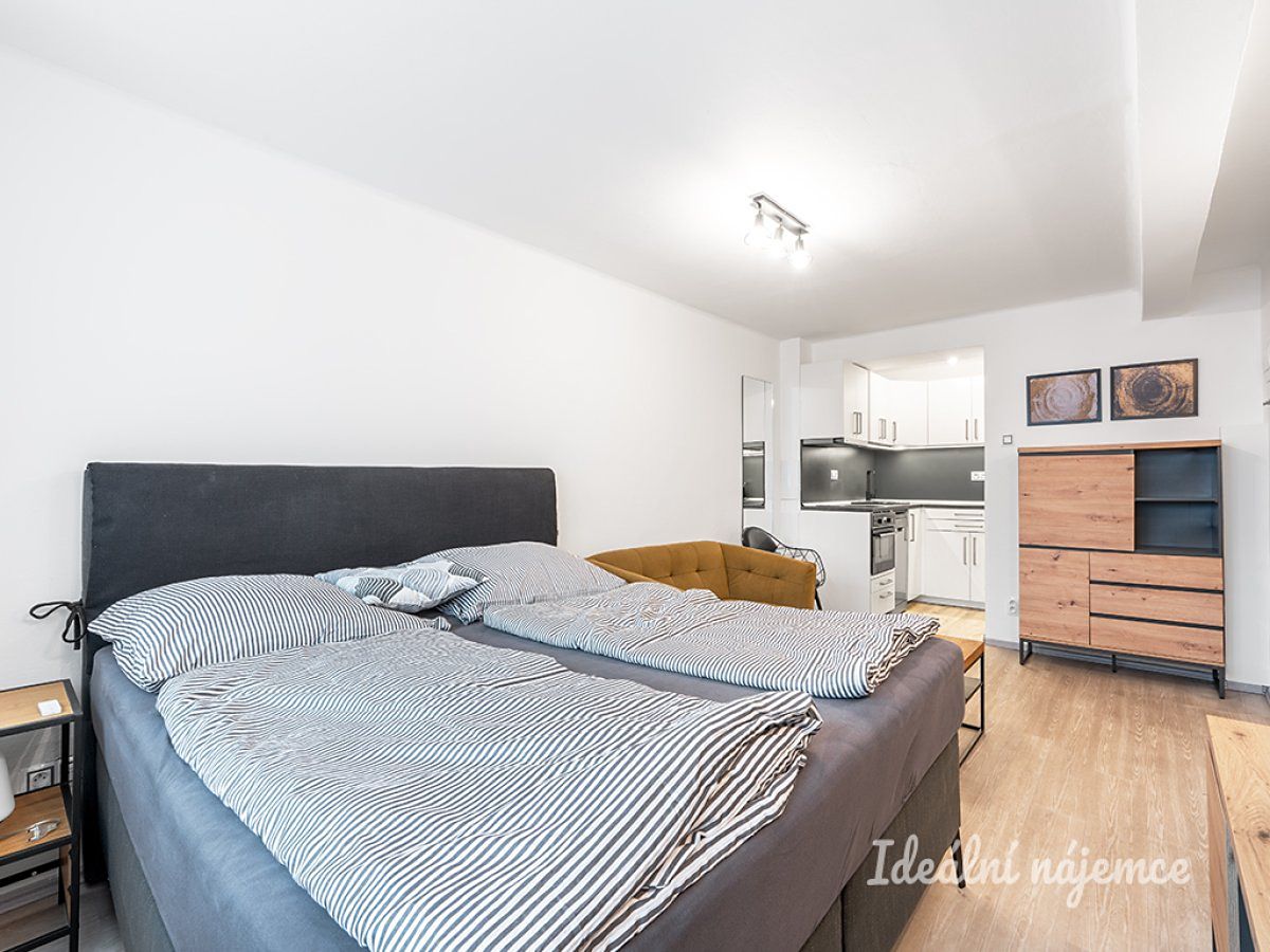 Pronájem bytu 1+kk 24 m² – fotografie 3
