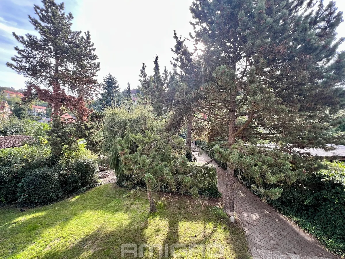 Fotka 14 z 30