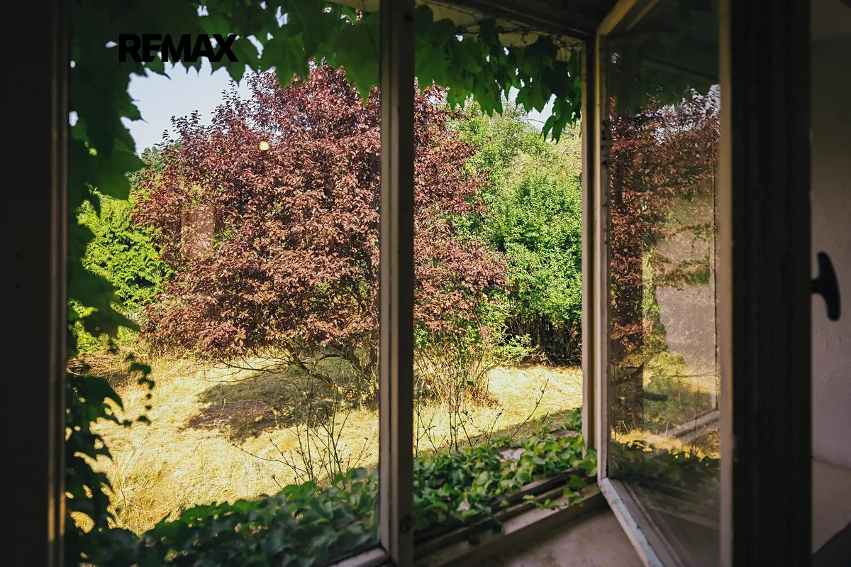 Fotka 5 z 30
