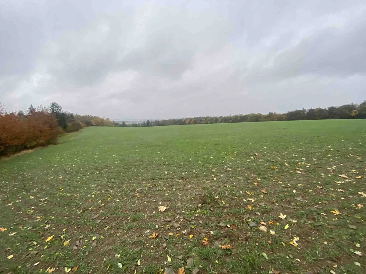 Prodej pole 11943 m²