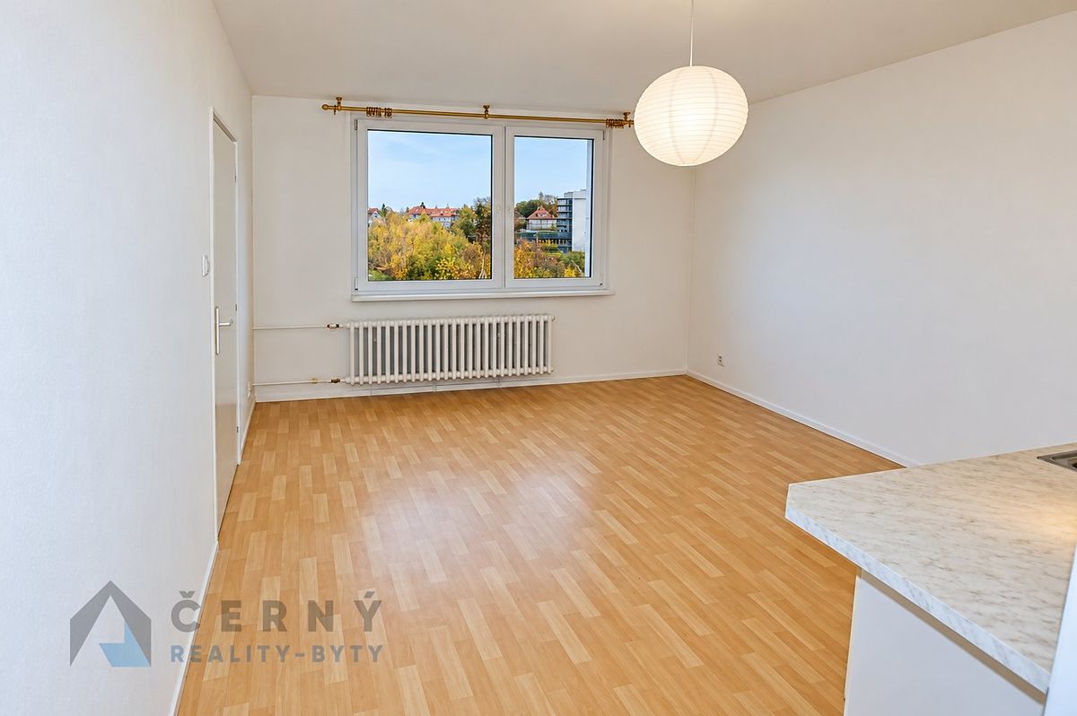 Pronájem bytu 1+1 36 m² – fotografie 2