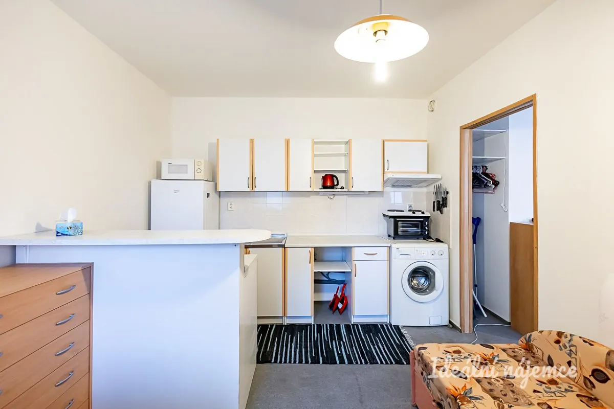 Pronájem bytu 1+1 39 m²